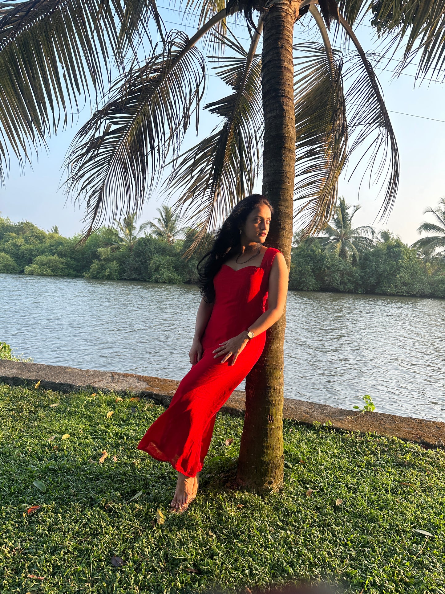 Scarlet Dress